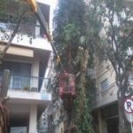 Γερανοί Θεσσαλονίκη - Κοπή Δέντρων